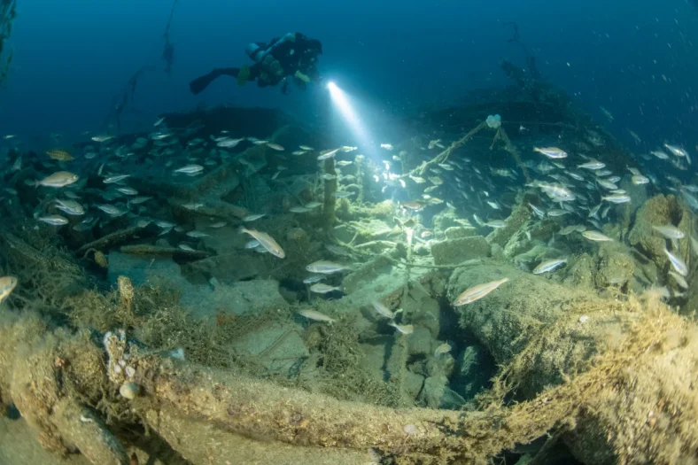 kapal-dagang-abad-ke-17-ditemukan-misteri-laut-inggris-akhirnya-terungkap